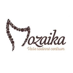 website template image